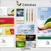 Zimbabwe Airlines Branding Showcase