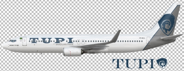 B737-800(WL) Brazilian Tupi