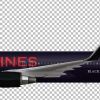 B767-300ER(WL) BLACKBIRD - VG Airlines