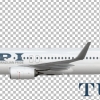 B737-800(WL) Brazilian Tupi