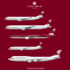 Pacific Oriental Airways Fleet