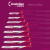 Anatolian Airbus Full Fleet