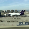 Fed Ex 767's