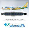 Islander I600 Cebu Pacific