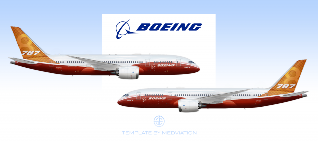 Boeing House Colours, Boeing 787-8