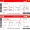 AsiaJet Airways/AsiaJet Link Boarding Pass