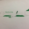 Polishwings - Embraer 190 Regular Livery