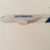 Carribeana - Boeing 737-700 Bare Metal Livery