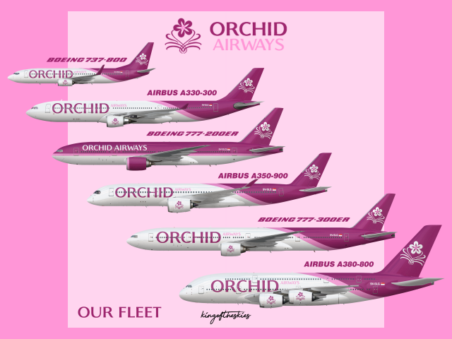 Orchid Airways Current Fleet Types and Liveries