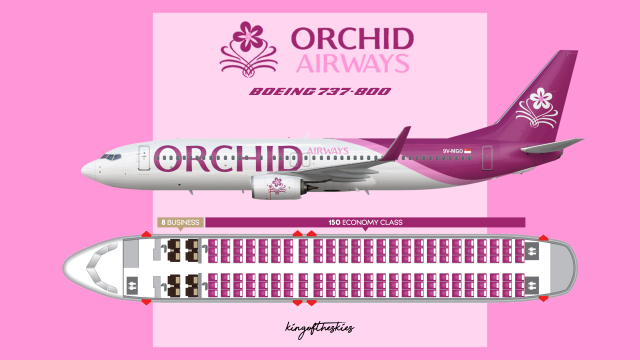 Orchid Airways Boeing 737-800 Livery & Seat Map