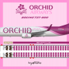 Orchid Airways Boeing 737-800 Livery & Seat Map