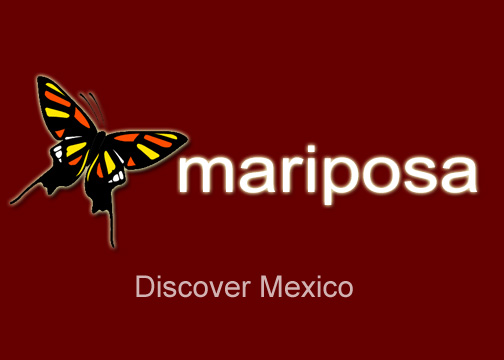 New Mariposa Logo