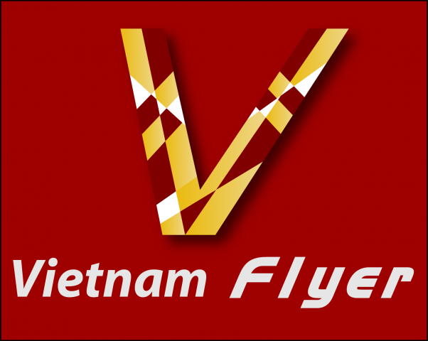 Viet FLyer Logo
