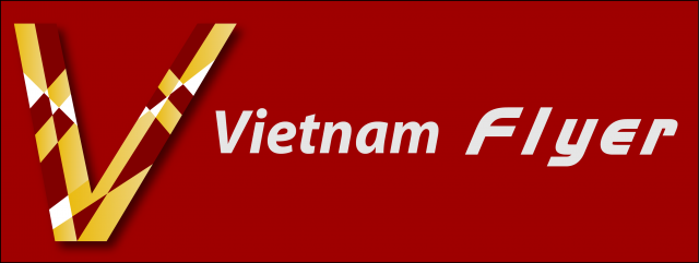 Viet FLyer Logo 02