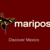 New Mariposa Logo