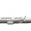 United Airlines "Golden Jet" 737-800