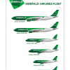 Emerald Airlines Fleet