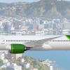 Kiwi Airways | 787 9 | Potential New Livery