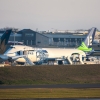 Seahawks 747-8 Freighter at Paine Field