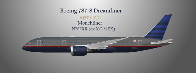 787 Dreamliner Private jet