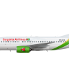 Guyana Airlines 737 700