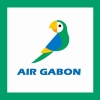 Air Gabon :: New Logo