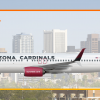 SunWest Boeing 737-800 (Arizona Cardinals Special Livery)