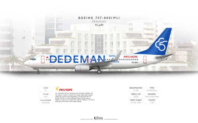 Pegasus Boeing B737 800(WL) ''Dedeman Livery''