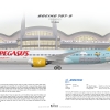 Pegasus Airlines Boeing 787 9