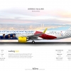 Vueling Airbus A321 Neo ''France Rugby'' Livery