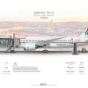 Royal Air Maroc Boeing 787-8 and Airport Equipments