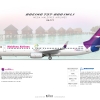 MEGA Maldives Airlines B737 800(WL) ''Custom''
