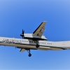 Dash 8 Q400 Alaska Old livery