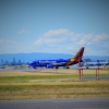 Southwest 737-700 New Livery