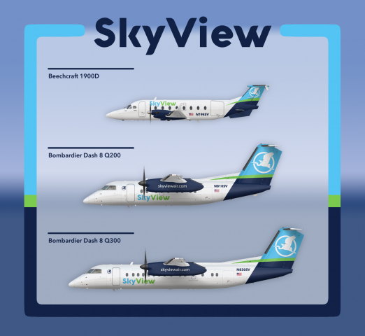 SkyView Fleet Poster