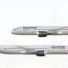 2013-present | Paulistano B787-8 (PP-UTA) and B787-9 (PP-EIX)