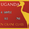 Air Uganda Golden Crane Class Credit Card | Final Version