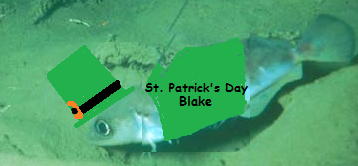 Blake For St. Patrick's Day