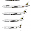 Dalkia Airlines  Long-Haul fleet