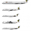 Dalkia Airlines  Regional fleet
