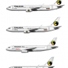 Dalkia Airlines  Medium-Haul fleet