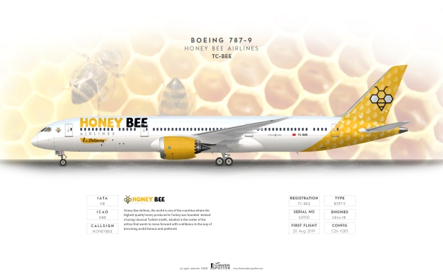 Honey Bee Airlines Honey Bee Airlines