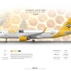 Honey Bee Airlines Airbus A320 200