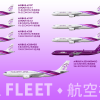 Fleet