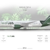 LeafJet Boeing 787 8 Dreamliner