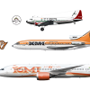 Konkan-Malabar South Indian Airways, Livery History