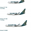 OASYS Boeing 737 Next Generation Family