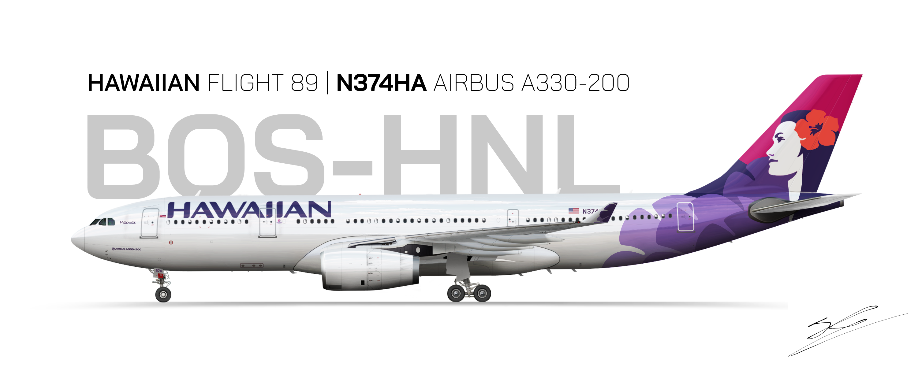 HA89 - MISC. - Gallery - Airline Empires