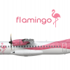 Flamingo ATR72