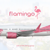 Flamingo 737 Max 8